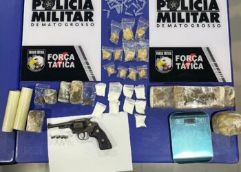 Força Tática apreende arma, munições e diversas porções de entorpecentes