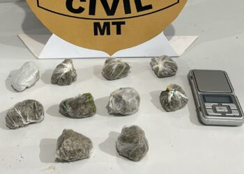 Polícia Civil prende mulher que assumiu comércio de drogas após companheiro ser preso