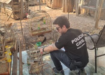 Polícia Civil investiga 25 denúncias de maus-tratos de animais em Cuiabá e Várzea Grande