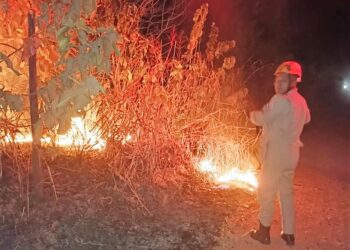 Bombeiros extinguem incêndio em vegetação em Santo Antônio de Leverger