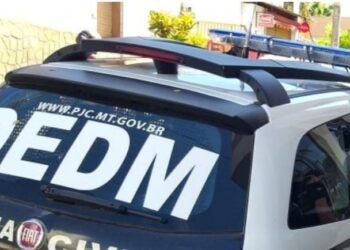 Polícia Civil lança operação de combate à violência contra a mulher em MT nesta quarta-feira (07)