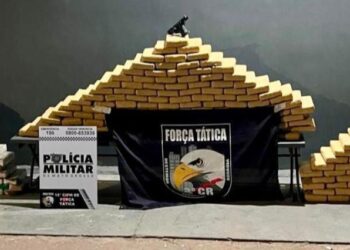 Força Tática prende homem com 330 quilos de entorpecentes em Várzea Grande