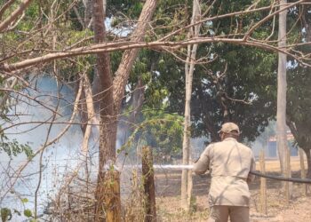 Bombeiros combatem incêndio em vegetação em Santo Antônio do Leverger