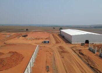 MT terá a primeira indústria de refino de óleo vegetal de algodão