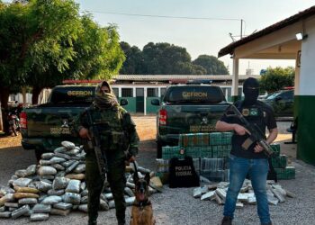 Operação integrada apreende mais de 700 tabletes de droga em caminhão e causa prejuízo de cerca de R$ 7 milhões ao crime