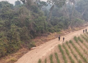 Polícia Civil localiza corpo de jovem desaparecido e prende quatro por homicídio e ocultação de cadáver