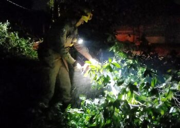 Bombeiros militares cortam árvores e desobstruem vias após tempestade em Alta Floresta