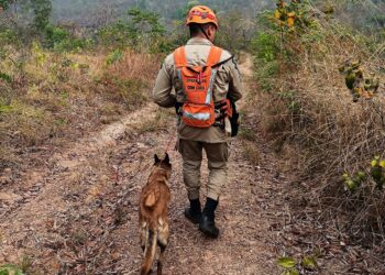 Bombeiros localizam corpo de homem desaparecido em Jaciara