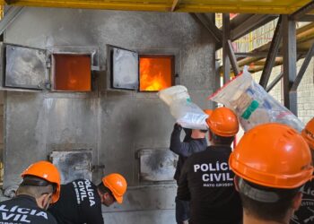 Polícia Civil incinera três toneladas de entorpecentes apreendidos pelas Forças de Segurança