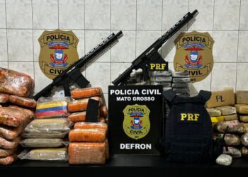 Polícia Civil e PRF apreendem carga de 149 tabletes de maconha e pasta base e cocaína em caminhão boiadeiro