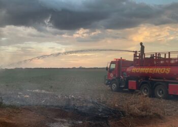 Corpo de Bombeiros combate incêndio em área de vegetação em Campo Verde