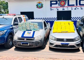 Ação conjunta apreende quase 100 tabletes de drogas e prende dois em flagrante