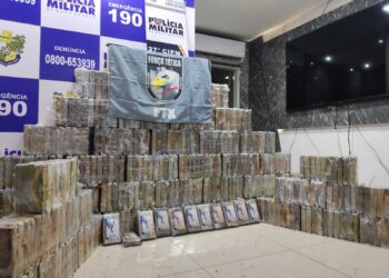 Polícia Militar apreende 565 quilos de cocaína escondidas em caminhão em Canabrava do Norte