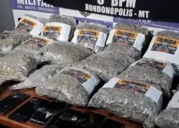 PM apreende 19 quilos de skank e prende trio em flagrante por tráfico de drogas