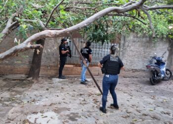 Operação Dupla Aliança mira associação criminosa de traficantes e cumpre 72 mandados judiciais