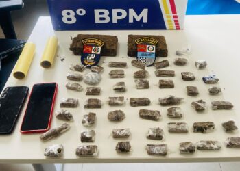 Polícia Militar apreende 50 porções de entorpecentes em Alta Floresta