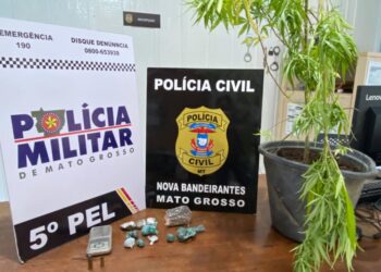 Polícia Civil cumpre 5 mandados de busca contra organização criminosa em Nova Bandeirantes