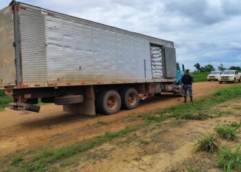 Sema e PM deflagram operação em reserva extrativista de MT e apreende caminhão com sementes de capim
