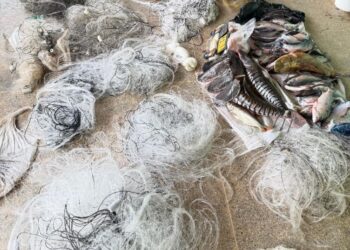 Sema e PM apreendem pescado, redes e tarrafas em Santo Antônio do Leverger