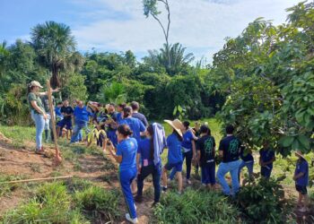 Escola da rede estadual cria projeto de recuperação de nascentes em Nova Monte Verde