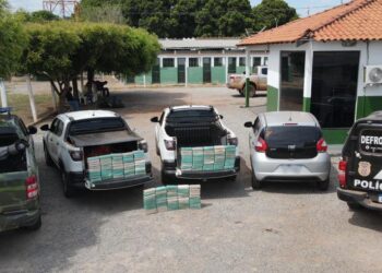 Operação conjunta apreende 150 tabletes de pasta base de cocaína e causa prejuízo ao tráfico de R$ 2,7 milhões
