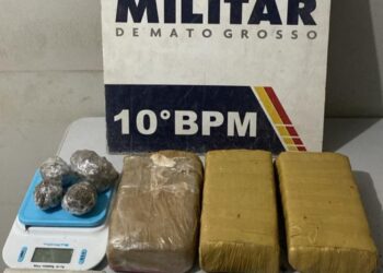 Polícia Militar desarticula ponto de venda de drogas e apreende tabletes de maconha