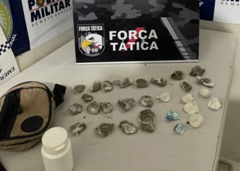 Suspeito de furtos em condomínios é preso em flagrante pela Força Tática
