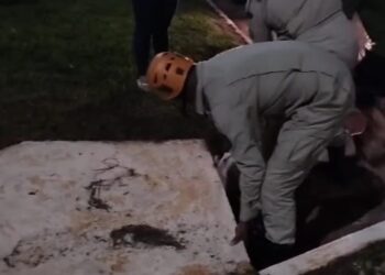 Bombeiros resgatam filhote de cachorro que estava dentro de bueiro