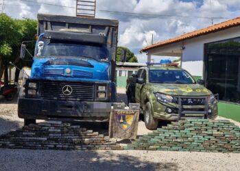 Gefron apreende 216 quilos de entorpecentes e causa prejuízo de R$ 4,5 milhões ao crime organizado