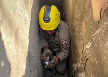 Corpo de Bombeiros reforça importância de adotar medidas preventivas durante período de chuvas