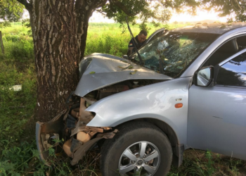Picape a serviço da prefeitura de Macapá perde controle e atinge árvore