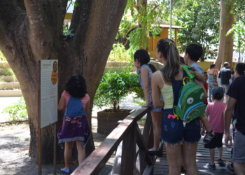 Semana de férias em museu de Macapá terá recreação, jogos e oficinas para as crianças