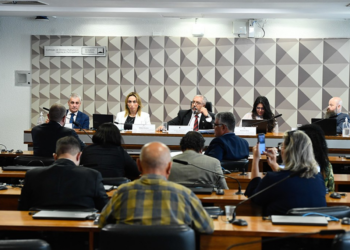 Debate sobre Lei Maria da Penha destaca acusações falsas contra homens