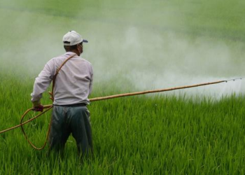 Países precisam de leis contra impacto de químicos e tóxicos a mulheres e meninas, diz relator