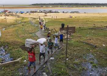 BNDES e BID aprovam R$ 5,4 bi em crédito a micro, pequenas e médias empresas da Amazônia