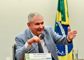 Votação do Orçamento fica para 2025, informa Angelo Coronel