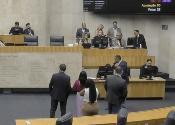 Câmara de SP aprova projeto que libera derrubada de 10 mil árvores