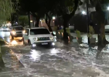 Temporal provoca alagamentos e quedas de árvores no Rio