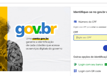 Golpistas invadem gov.br para fazer empréstimos e desbloquear veículos