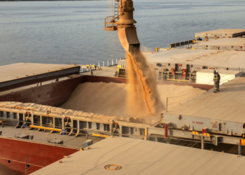 Anec divulga projeções para dezembro e prevê retração