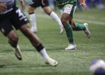 Furto milionário intriga empresa que fornece gramado do Allianz Parque