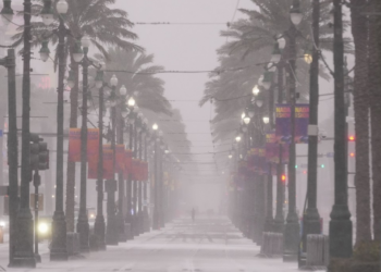 Nevasca histórica e rara atinge Flórida, Texas e Nova Orleans; veja FOTOS e VÍDEO