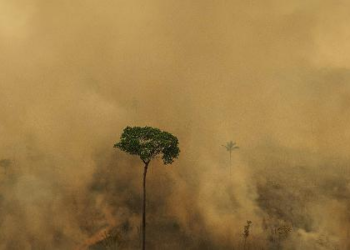 No 'ano da colheita', Autoridade Climática de Lula vira carrapicho