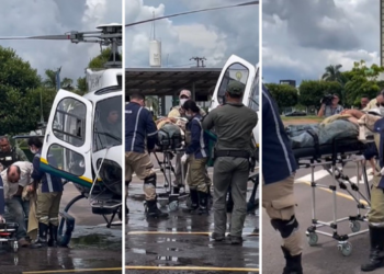 Homem é atacado por centenas de abelhas e resgatado de helicóptero; vídeo