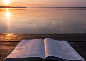 Renovando a imaginação: como entrar no mundo da Bíblia