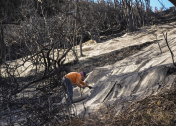 Incêndios em Los Angeles: chuva ajuda controle das chamas, mas escoamento de cinzas tóxicas preocupa