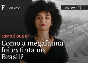 Como a megafauna foi extinta no Brasil?