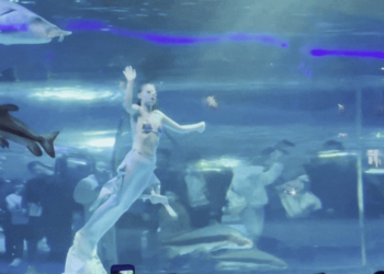 VÍDEO: Peixe morde cabeça de 'sereia' que se apresentava em aquário na China