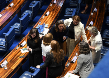 Bancada Feminina expande atuação e colhe vitórias em 2024