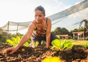 Governo do Piauí vai investir R$ 250 milhões na agricultura familiar